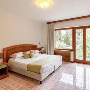 Chambre Standarde Lit King-Size